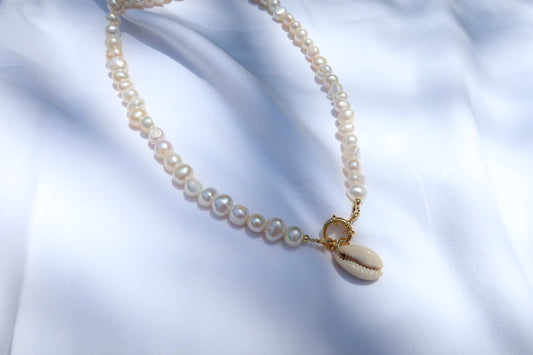 Cowrie Shell on Pearl